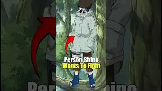 Shino Wanted To Fight THIS Naruto Ninja The Most!
