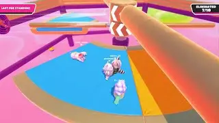 Fall Guys first win with Gato Roboto