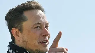 Elon Musk urges government to 'do nothing' to regulate crypto