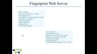 Web Application Information Gathering