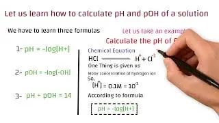 PH and pOH of a solution || How can we calculate pH and pOH of any solution? || MS Chemistry