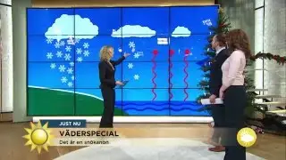 V&auml;derspecial: S&aring; fungerar en sn&ouml;kanon - Nyhetsmorgon (TV4)