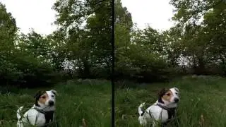 Xaomi Yi IR block and stock lens comparison.