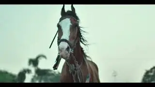 Savaari trailer