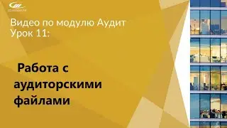 Урок 11: Работа c аудиторскими файлами | CaseWare Ukraine