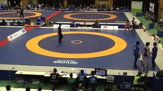 2019年IH レスリング 女子 53kg級 決勝 櫻井つぐみ （高知南 高知） VS 藤波朱理（いなべ総合学園 三重）