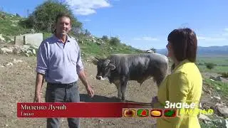 Znanje imanje: Radost stvaranja