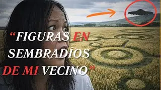 FIGURAS en los SEMBRAD&Iacute;OS de mi VECINO | Vivencias Xtrat