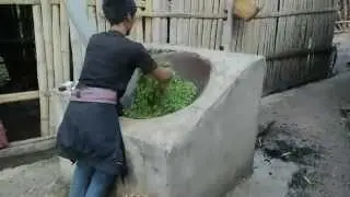 Bada mountain tea processing