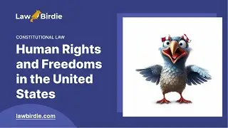 Human Rights and Freedoms in the United States - Essay Example