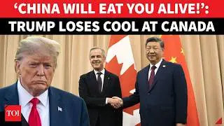 &lsquo;US Will Get China&rsquo;s Leftovers&rsquo;: Trump FUMES At Carney, Gives Canada GORDIE HOWE BRIDGE Shock