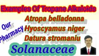 Examples Of Tropane Alkaloids