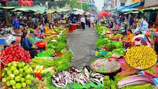 Amazing Cambodian Food Market Scenes, Massive Food Tour, Kandal Market In Phnom Penh