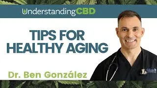 CBD and politics | Episode 80 | Endocrine System | @UnderstandingCBD
