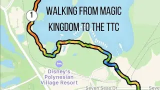 🏰🚶🏽&zwj;♀️Walking from Magic Kingdom to the Transportation and Ticket Center  How long is the walk?