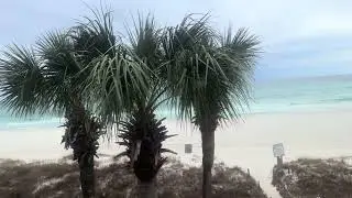 Polynesian 216.  Rent directly text Kara 850-774-8433