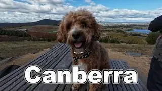 Canberra. Pet Friendly. ACT.