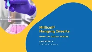 Millicell&reg; Hanging Inserts &ndash; How to use &ndash; Chapter 1: 2.5D Cell Culture