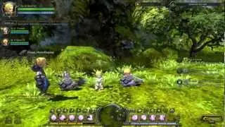 Dragon Nest Let's Play часть 8 (Отходняк)