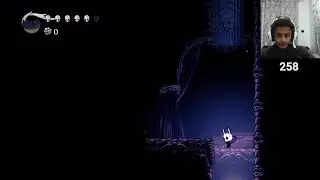 HOLLOW KNIGHT FIGHTING BOSSES AND EXPLORING