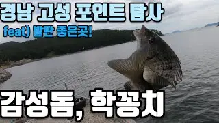 [Ep.04]경남고성 감성돔 포인트 탐사!