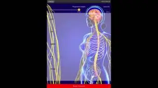 Genius Biofeedback: Entangled Insights