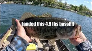 Big Largemouth Bass on Delavan Lake