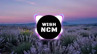 'Mera Dil Meri Jaan' | no copyright music hindi / urdu | WISH NCM