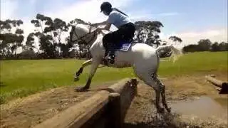 Normie and Mil dawg.wmv
