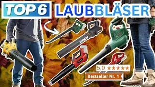 Beste LAUBBLÄSER & LAUBSAUGER (Testsieger 2026) | Top 6 Laubbläser & Laubsauger Vergleich
