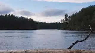 Gentle Waves Crashing onto Shore | Relax, Study, Calming | 1 hour