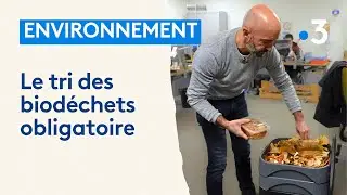 Contre le gaspillage, le tri des d&eacute;chets alimentaires est d&eacute;sormais obligatoire