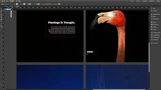 Multiscroll Widget | Tutorial by MuseThemes.com