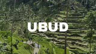 Vlog Bali J-21 : Ubud