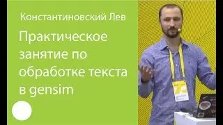 004. Практическое занятие по обработке текста в gensim &mdash; Лев Константиновский