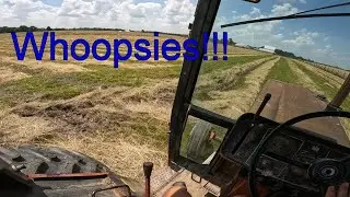 Muddy Hay During Planting
