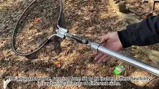 Effortlessly Capture Animals: Review of the Animal Catcher Net from Shopify