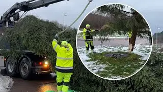 Nu julpyntas Ale kommun
