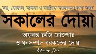 সকালটা শুরু হোক হৃদয় শীতল করা বরকতময় আয়াত দিয়ে। সকালের দোয়া ও জিকির। Morning Dua Full by Alaa Aqel