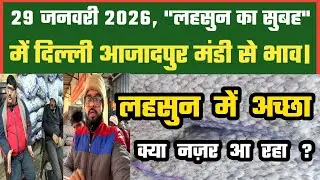 लहसुन में अच्छा क्या Azadpur Delhi Mandi Today 29-01-2026 को बने ऐसे Garlic Price DMT TV 