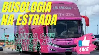 OS FÃS DA ESTRADA !! #vidadeumrodoviario 