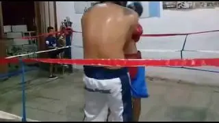 Finito box gym guanteo