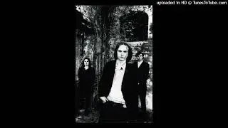 The Auteurs - Unsolved child murder