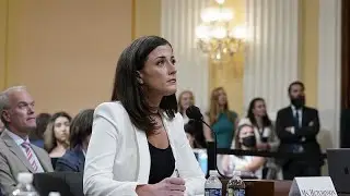 Ex-White House aide says Donald Trump knew Capitol rioters were armed in explosive testimony