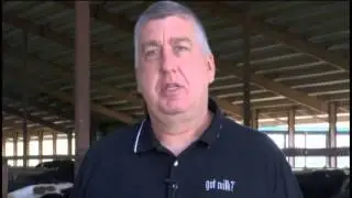 Low milk prices force dairy farmers to cut costs