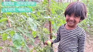 Little Khadija will show how to farm winter vegetables in agriculture land | Villages Agriculture