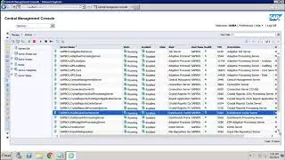 SAP BO Administration - Servers