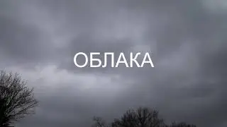 English and Russian words. Pronounce them correctly with native speakers. Английские и русские слова