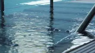 ALAN LEWIS POOL CONSULTANT (Writing directing and cinematography by Asaf Sultan)