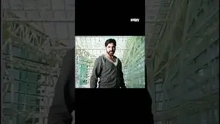 Seal wala Tala dialogue 🎥🎥 gabbar is back movie